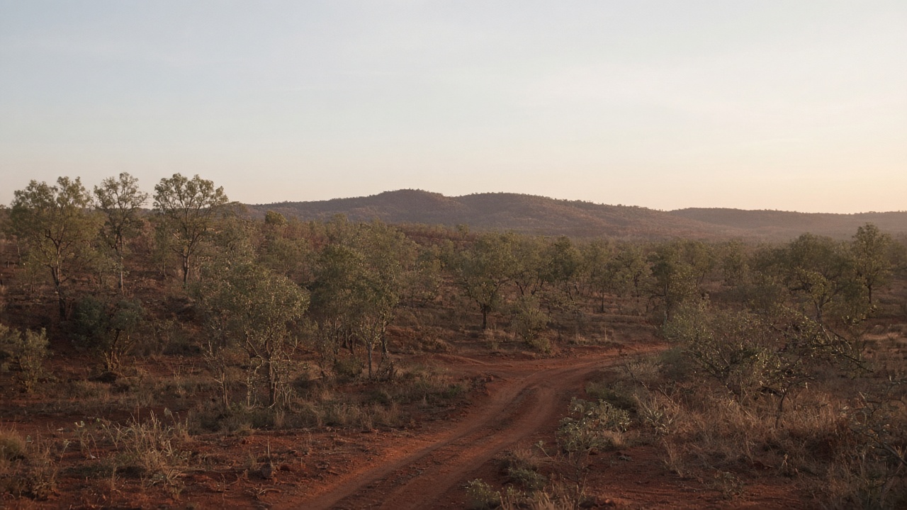 Distant Northern Territory bush landscape under a wide pale sky